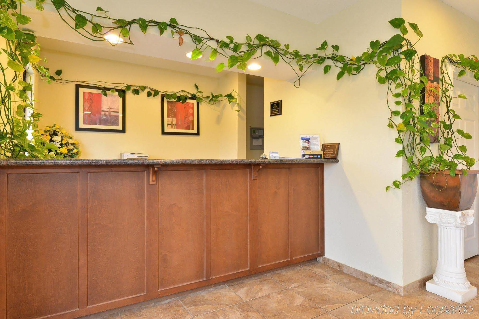 Americas Best Value Inn Byhalia Εξωτερικό φωτογραφία